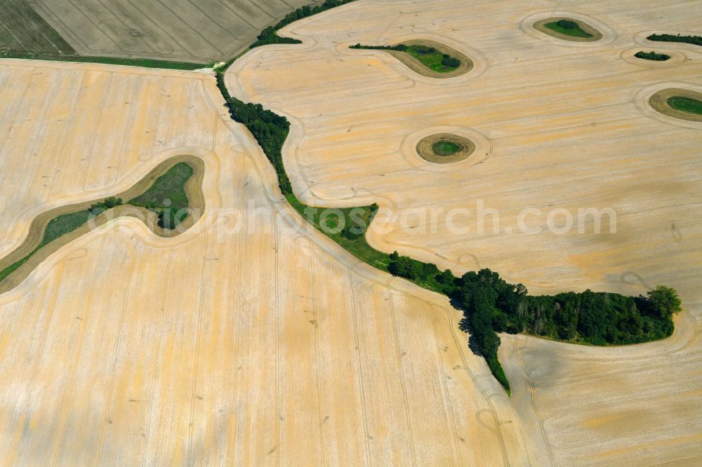Aerial image Sarow - Field edge of a target biotope in the field surface after harvest in Sarow in the state Mecklenburg - Western Pomerania, Germany