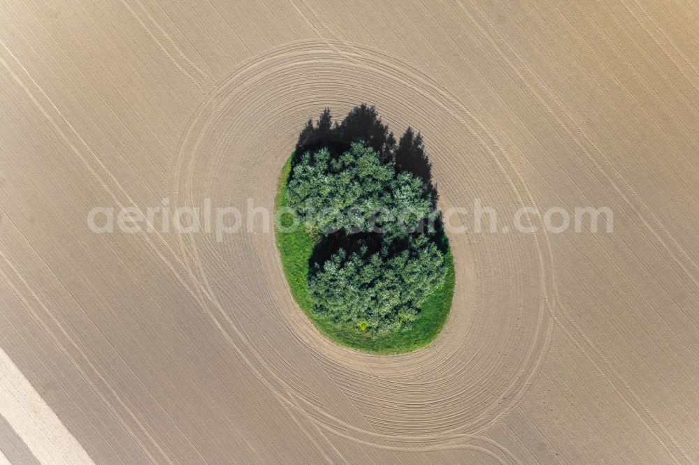 Aerial image Neuenpleen - Field edge of a target biotope in the field surface in Neuenpleen in the state Mecklenburg - Western Pomerania, Germany
