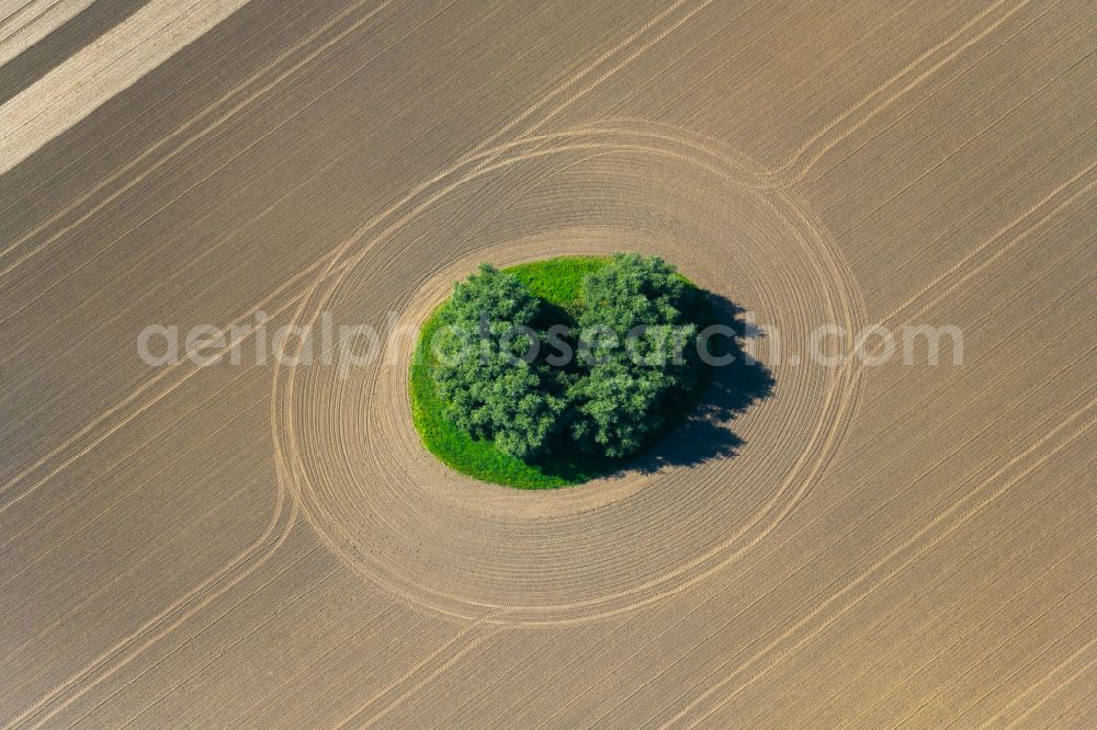 Aerial photograph Neuenpleen - Field edge of a target biotope in the field surface in Neuenpleen in the state Mecklenburg - Western Pomerania, Germany