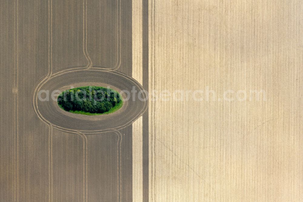 Aerial image Neuenpleen - Field edge of a target biotope in the field surface in Neuenpleen in the state Mecklenburg - Western Pomerania, Germany