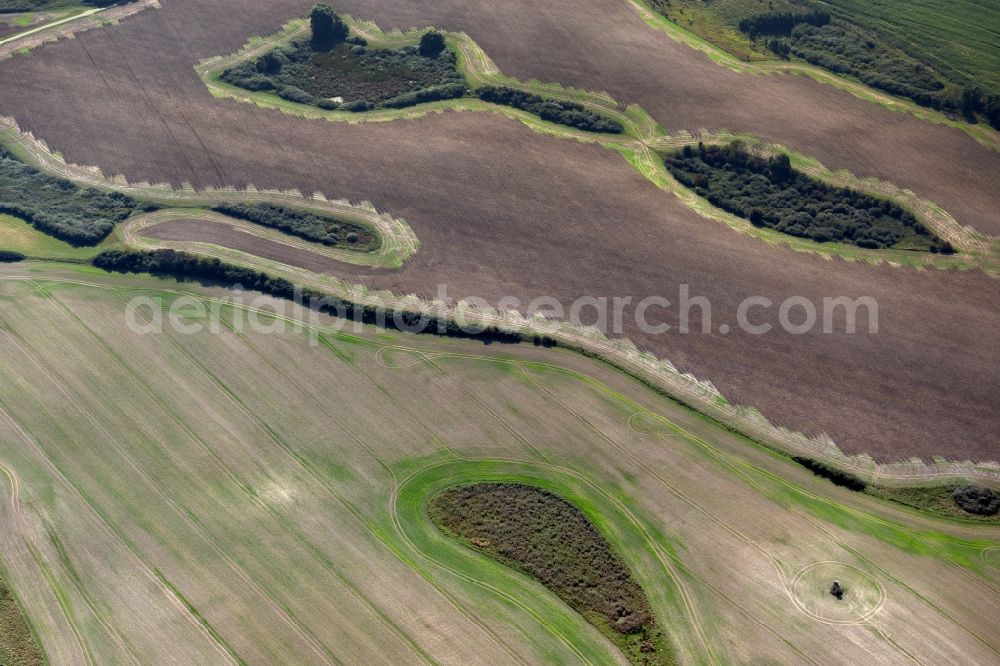 Sagard from above - Field edge of a target biotope in the field surface on Ruegen in Sagard in the state Mecklenburg - Western Pomerania, Germany