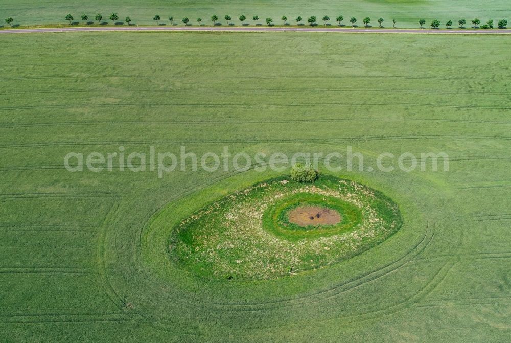 Aerial photograph Petersdorf - Field edge of a target biotope in the field surface of a green grain field in Petersdorf in the state Brandenburg, Germany