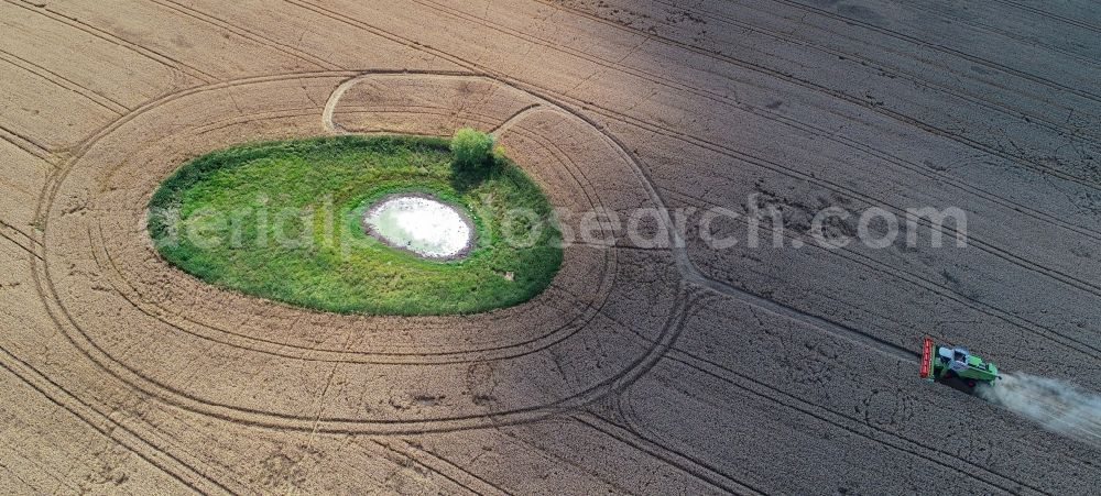 Aerial photograph Petersdorf - Field edge of a target biotope in the field surface in Petersdorf in the state Brandenburg, Germany