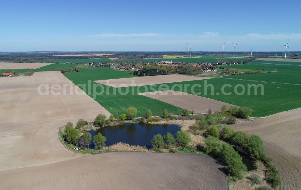 Petersdorf from above - Field edge of a target biotope in the field surface in Petersdorf in the state Brandenburg, Germany
