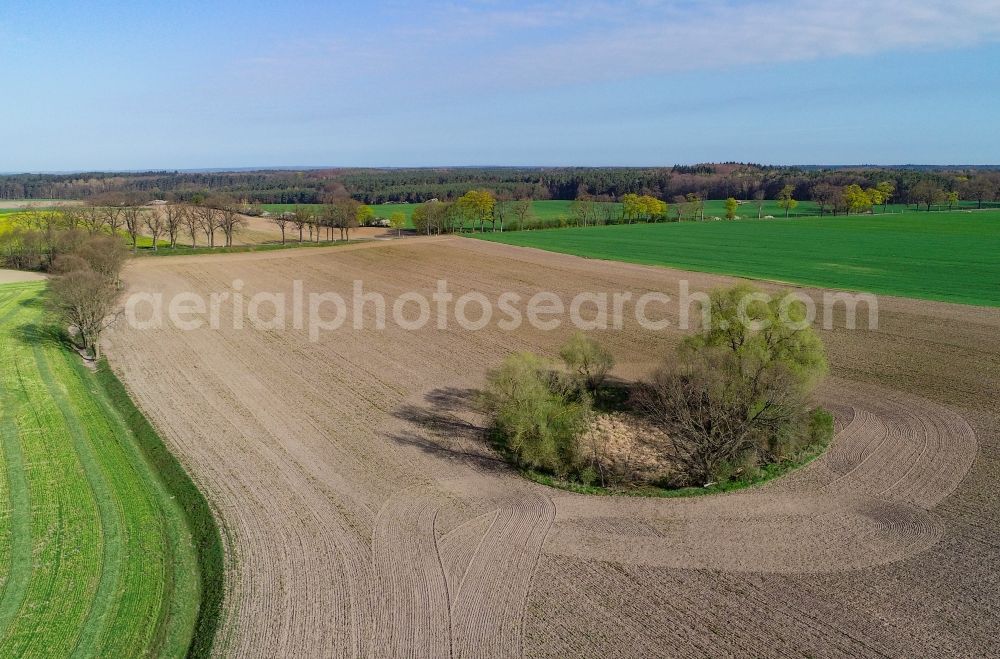 Sieversdorf from the bird's eye view: Field edge of a target biotope in the field surface in Sieversdorf in the state Brandenburg, Germany