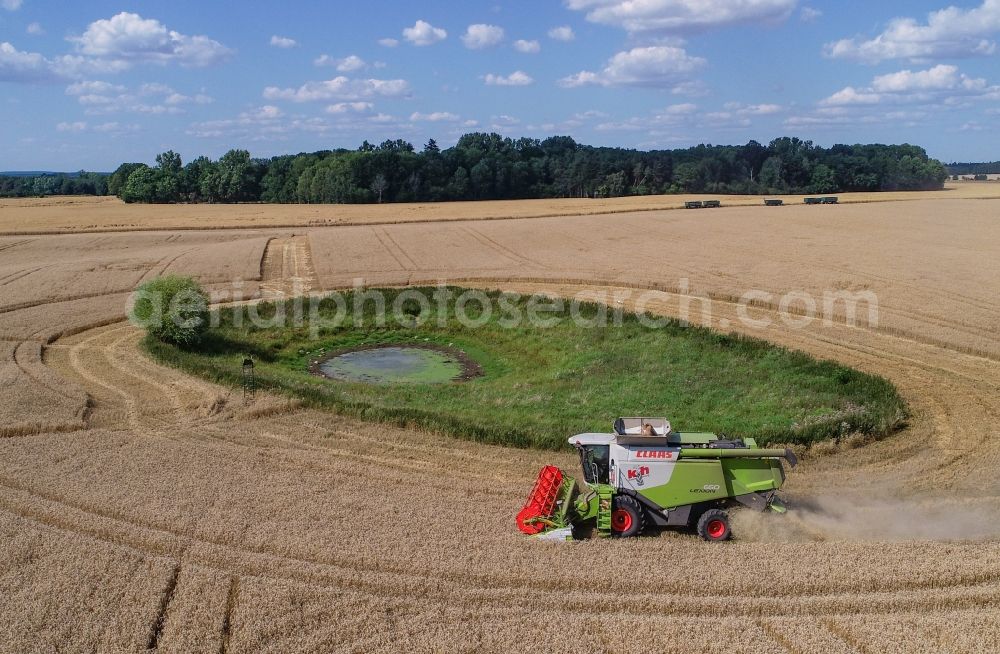 Petersdorf from the bird's eye view: Field edge of a target biotope in the field surface with encircling harvesting combine in Petersdorf in the state Brandenburg, Germany