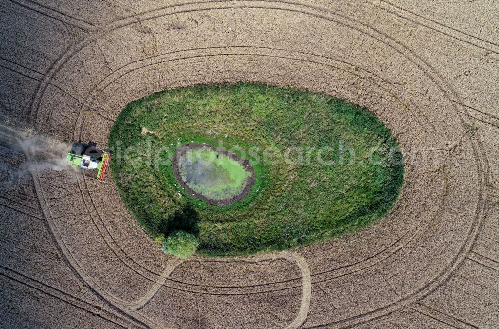 Aerial photograph Petersdorf - Field edge of a target biotope in the field surface with encircling harvesting combine in Petersdorf in the state Brandenburg, Germany