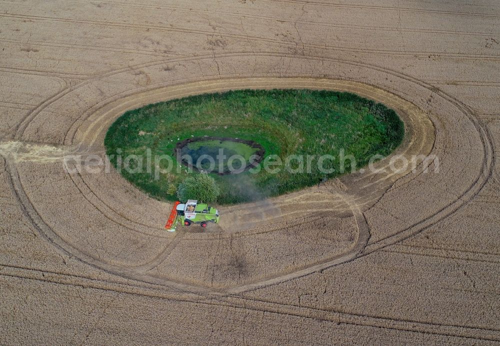 Petersdorf from above - Field edge of a target biotope in the field surface with encircling harvesting combine in Petersdorf in the state Brandenburg, Germany