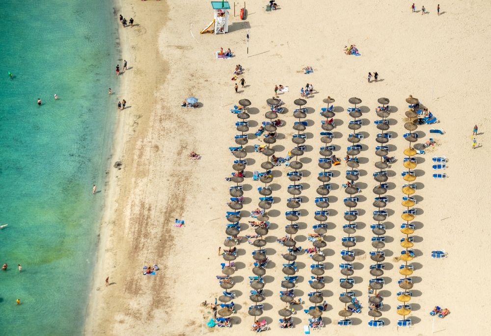 Calvia from above - Row of parasol on the sandy beach ranks in the coastal area Platja Gran de Tora in Calvia in Balearische Insel Mallorca, Spain