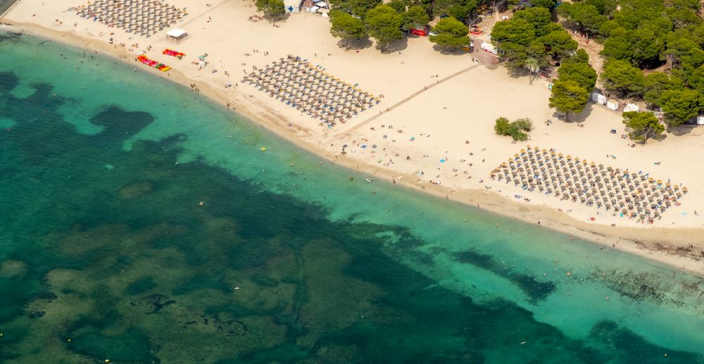 Calvia from the bird's eye view: Row of parasol on the sandy beach ranks in the coastal area Platja Gran de Tora in Calvia in Balearische Insel Mallorca, Spain