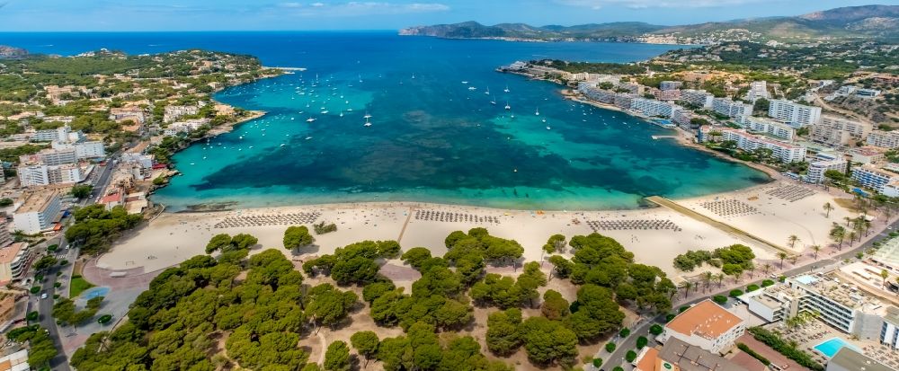 Badia de Palma from the bird's eye view: Parasol - rows on the sandy beach in the coastal area the bay in Peguera in Balearic island of Mallorca, Spain