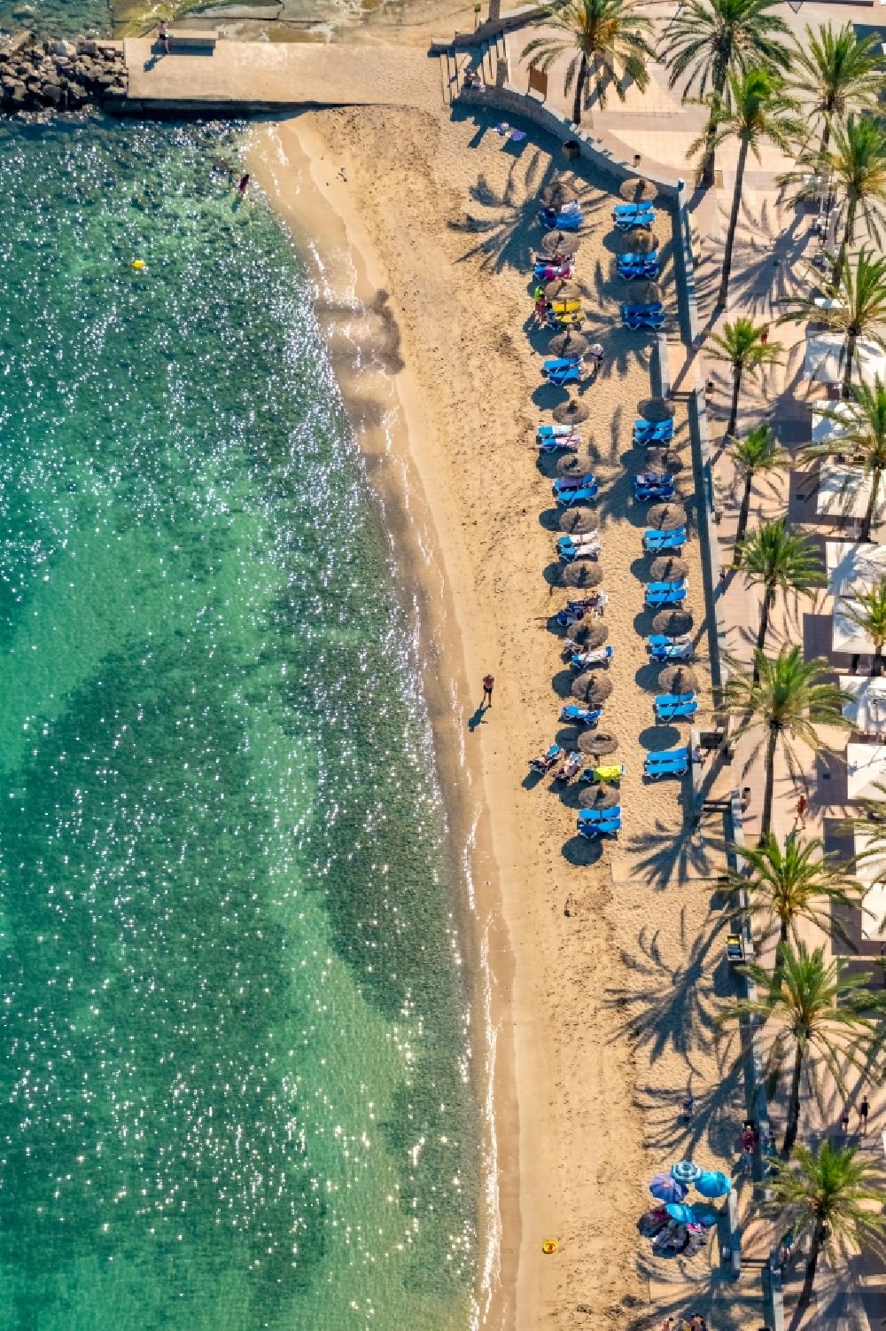 Soller from the bird's eye view: Parasol - rows on the sandy beach in the coastal area along the Carrer de la Marina in Soller in Balearic island of Mallorca, Spain