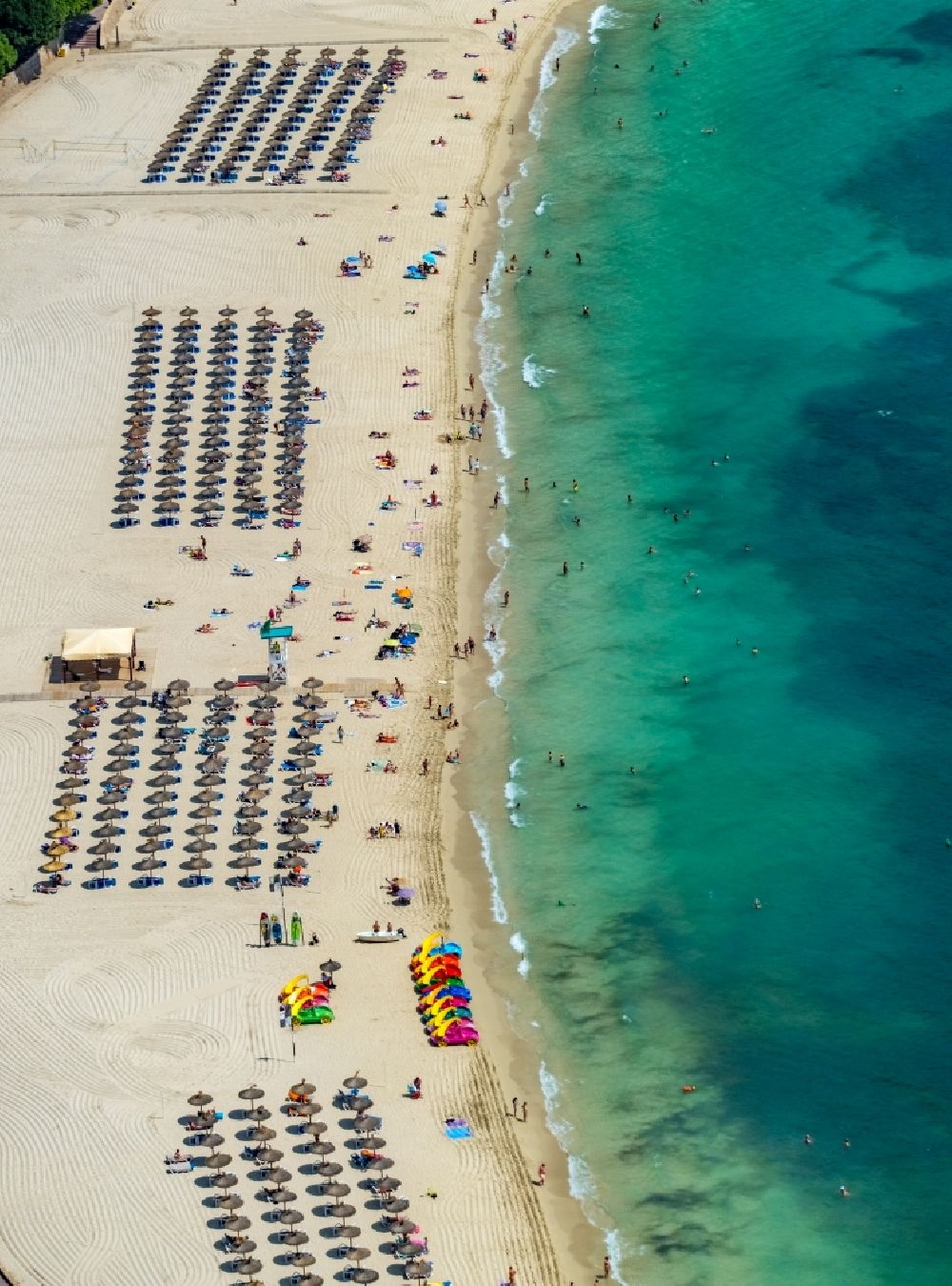 Aerial image Palmanova - Parasol - rows on the sandy beach in the coastal area of Palmanova Beach - Platja de na Nadala in Palmanova in Balearic island of Mallorca, Spain