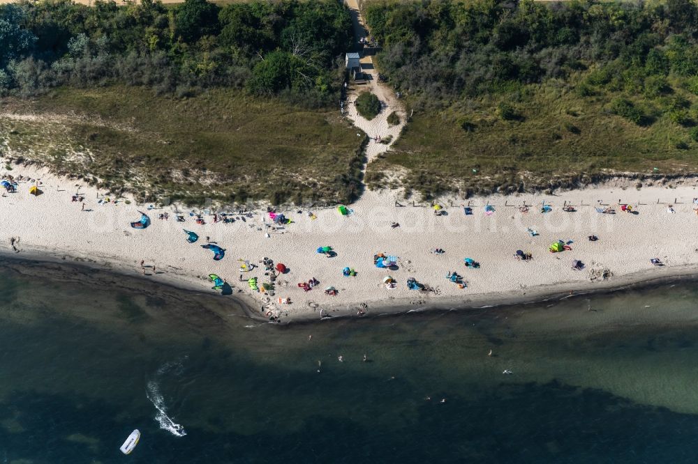 Aerial photograph Pelzerhaken - Parasol - rows on the sandy beach in the coastal area in Pelzerhaken in the state Schleswig-Holstein, Germany
