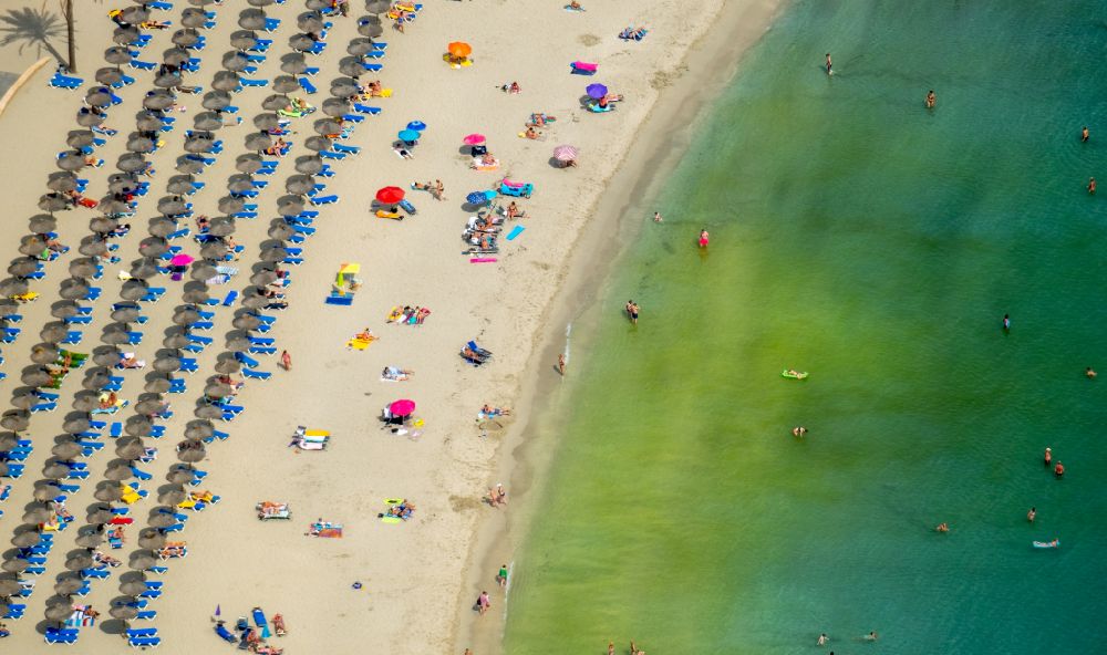 Aerial photograph Peguera - Parasol - rows on the sandy beach in the coastal area of Platja Palmira along the promenade of the Bulevar de Peguera in Peguera in Balearic island of Mallorca, Spain