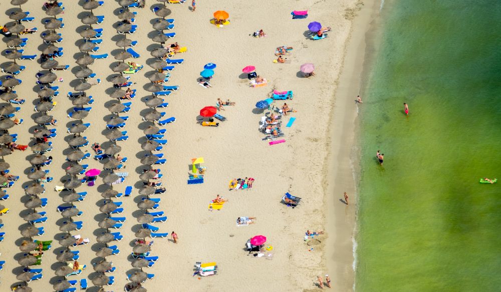 Peguera from above - Parasol - rows on the sandy beach in the coastal area of Platja Palmira along the promenade of the Bulevar de Peguera in Peguera in Balearic island of Mallorca, Spain