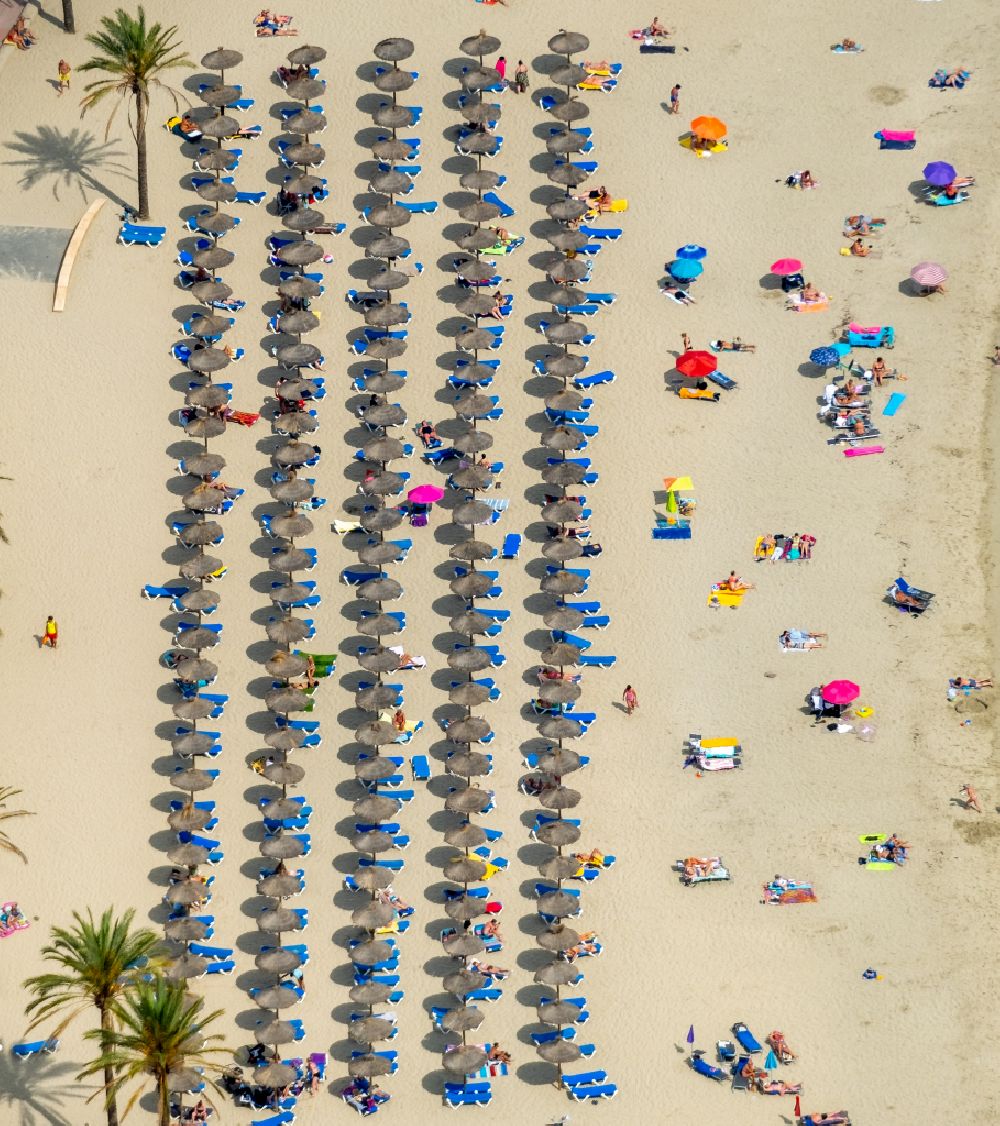 Aerial photograph Peguera - Parasol - rows on the sandy beach in the coastal area of Platja Palmira along the promenade of the Bulevar de Peguera in Peguera in Balearic island of Mallorca, Spain