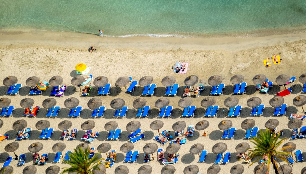 Peguera from above - Parasol - rows on the sandy beach in the coastal area of Platja Palmira along the promenade of the Bulevar de Peguera in Peguera in Balearic island of Mallorca, Spain