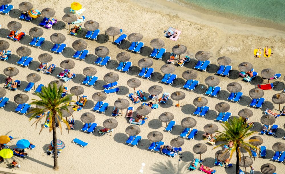 Peguera from the bird's eye view: Parasol - rows on the sandy beach in the coastal area of Platja Palmira along the promenade of the Bulevar de Peguera in Peguera in Balearic island of Mallorca, Spain