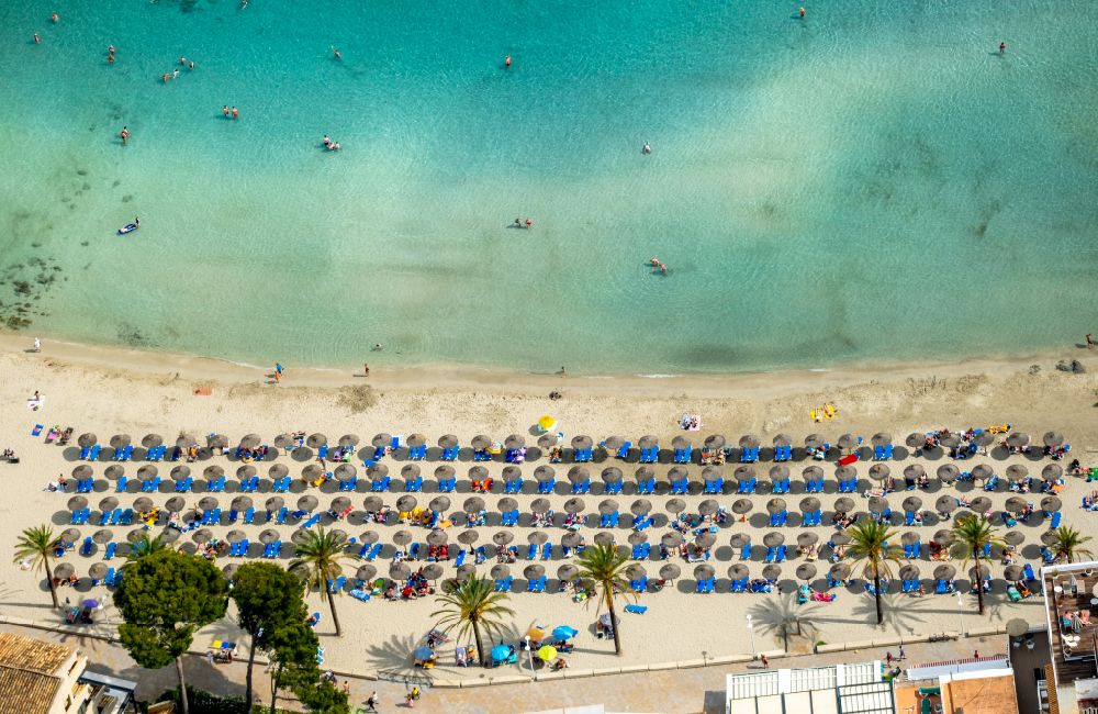 Aerial image Peguera - Parasol - rows on the sandy beach in the coastal area of Platja Palmira along the promenade of the Bulevar de Peguera in Peguera in Balearic island of Mallorca, Spain