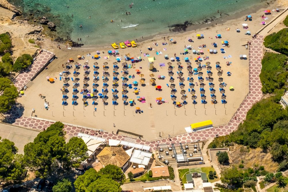 Calvia from above - Parasol on the sandy beach ranks in the coastal area Platja Gran de Tora in Calvia in Balearische Insel Mallorca, Spain