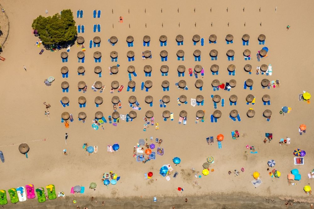 Aerial image Calvia - Parasol on the sandy beach ranks in the coastal area Platja Gran de Tora in Calvia in Balearische Insel Mallorca, Spain