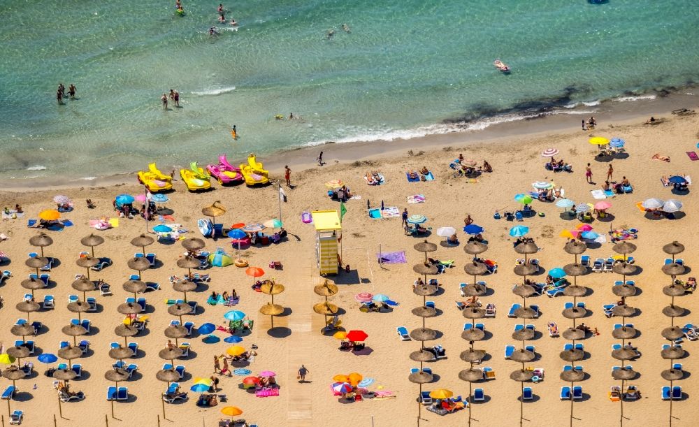 Aerial photograph Calvia - Parasol on the sandy beach ranks in the coastal area Platja Gran de Tora in Calvia in Balearische Insel Mallorca, Spain