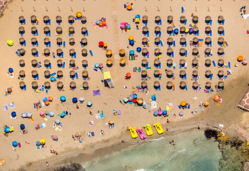 Aerial photograph Calvia - Parasol on the sandy beach ranks in the coastal area Platja Gran de Tora in Calvia in Balearische Insel Mallorca, Spain