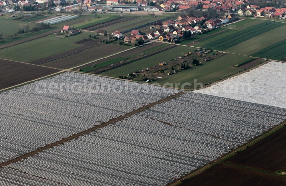Herbsleben from the bird's eye view: Asparagus harvest on a field at Herbsleben in Thuringia