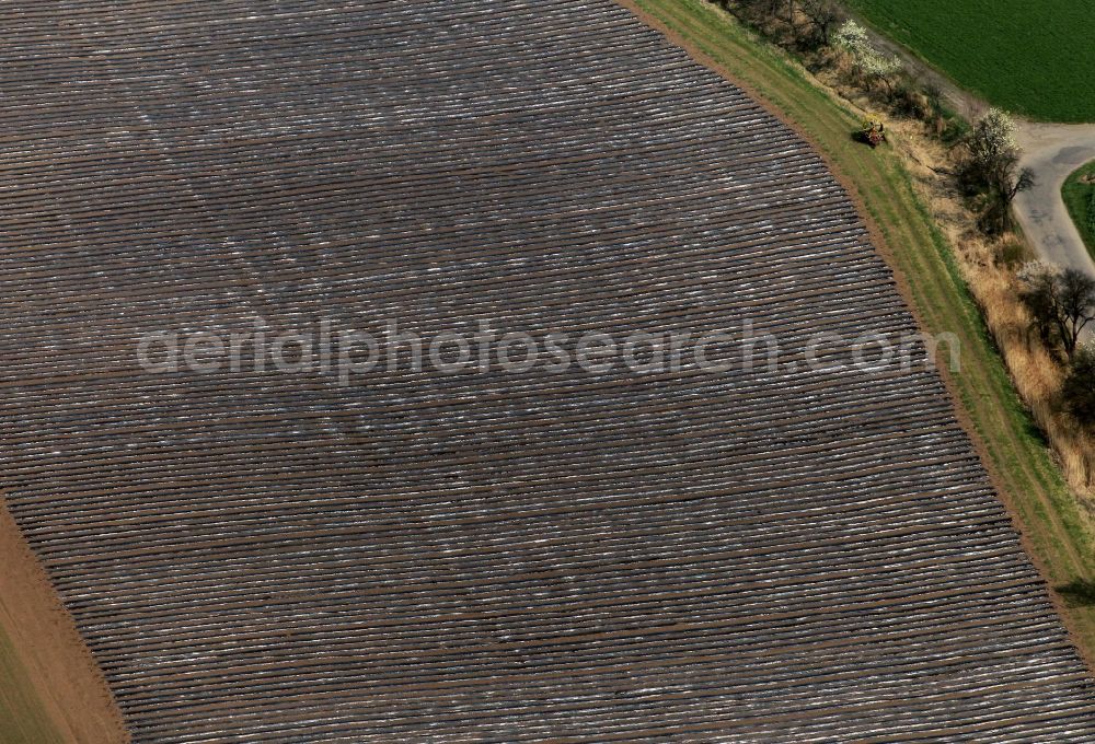 Aerial image Herbsleben - Asparagus harvest on a field at Herbsleben in Thuringia