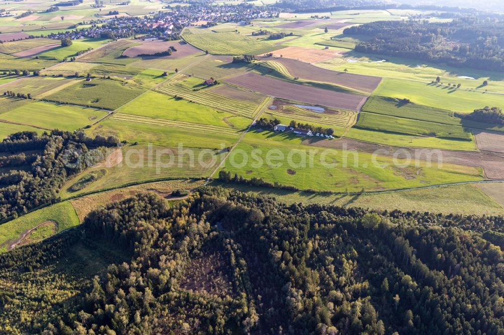 Aerial image Bad Waldsee - Gliding field on the airfield of Reute in Bad Waldsee in the state Baden-Wuerttemberg, Germany