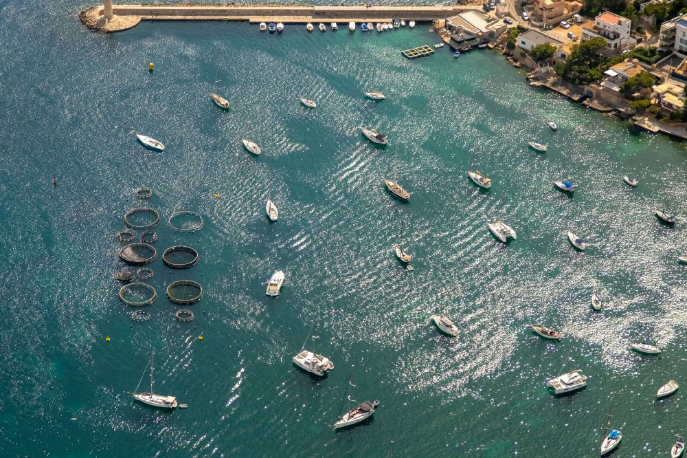 Aerial photograph Port d'Andratx - Pleasure boat and sailing boat mooring and boat moorings in the harbor of seashore in Port d'Andratx in Balearic islands, Spain