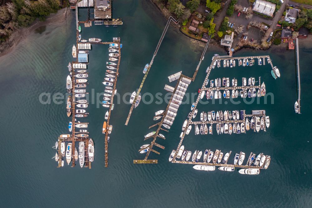 Bainbridge Island from the bird's eye view: Pleasure boat marina with docks and moorings on the shore area Elliott Bay in Bainbridge Island in Washington, United States of America