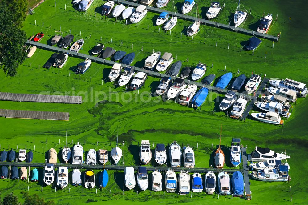 Aerial image Potsdam - Pleasure boat marina with docks and moorings on the shore area of Templiner See on street An der Pirschheide in the district Wildpark in Potsdam in the state Brandenburg, Germany