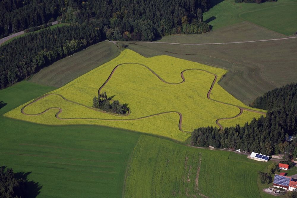 Aerial photograph Bonndorf im Schwarzwald - Yellow flowering rapeseed field with trace in a closed loop near Bonndorf in the Black Forest in the state Baden-Wuerttemberg, Germany