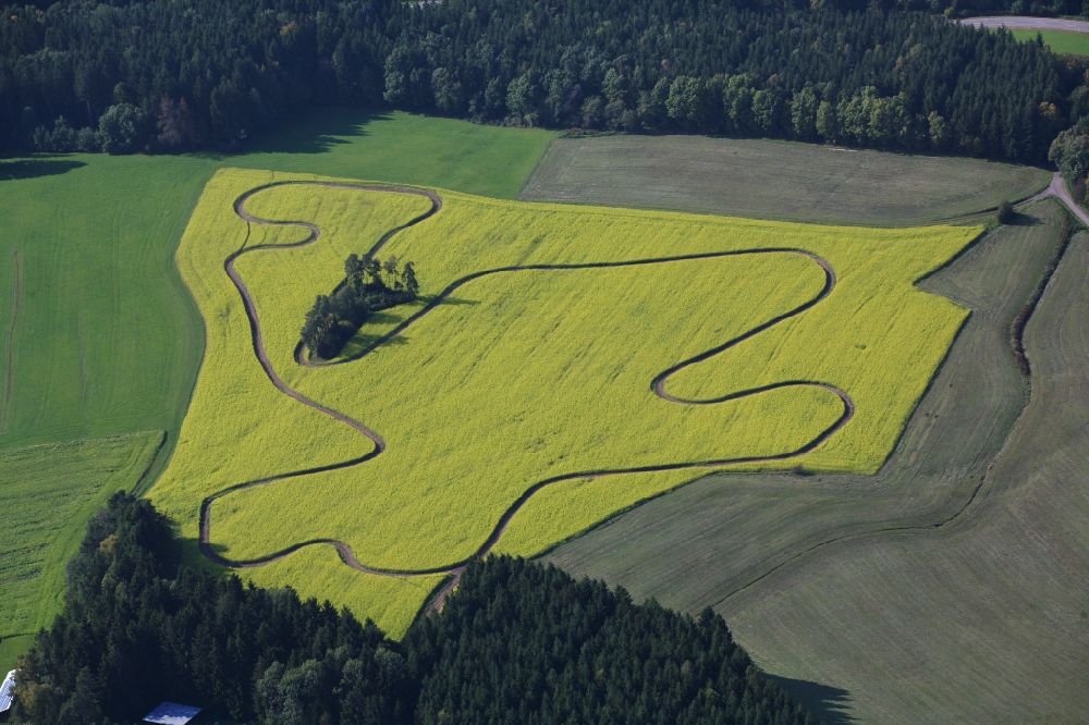 Bonndorf im Schwarzwald from the bird's eye view: Yellow flowering rapeseed field with trace in a closed loop near Bonndorf in the Black Forest in the state Baden-Wuerttemberg, Germany