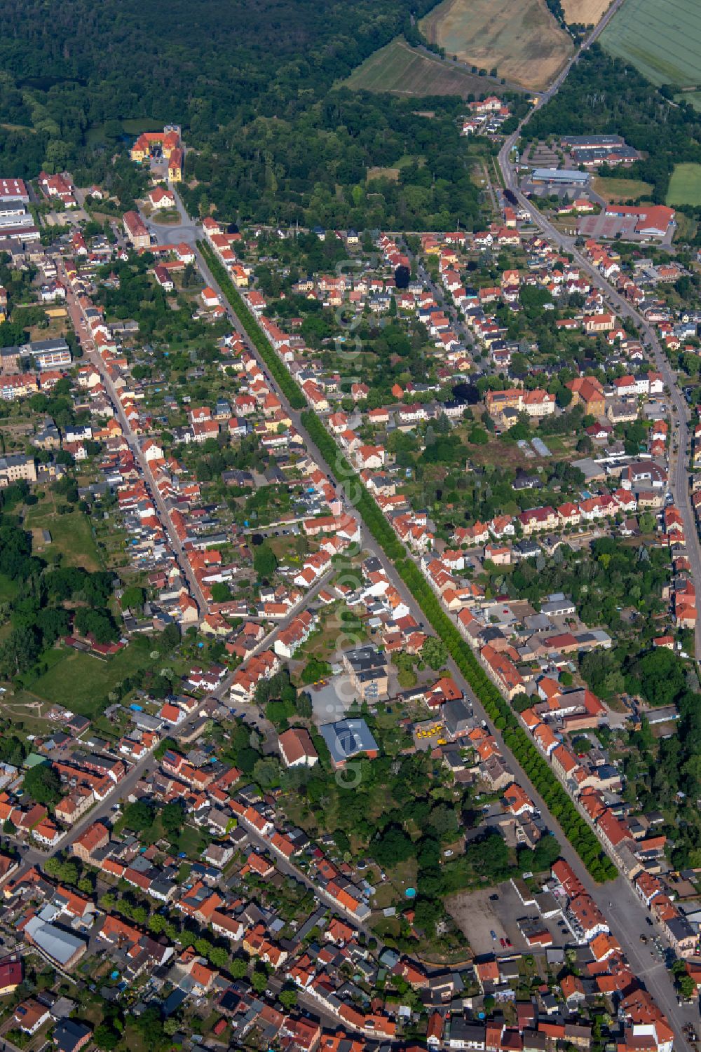 Aerial image Ballenstedt - City view on down town on street Allee in Ballenstedt in the state Saxony-Anhalt, Germany