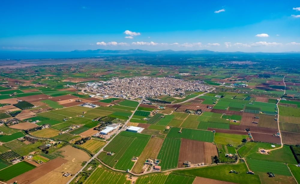 Aerial image Sa Pobla - City view on down town in Sa Pobla in Balearic island of Mallorca, Spain