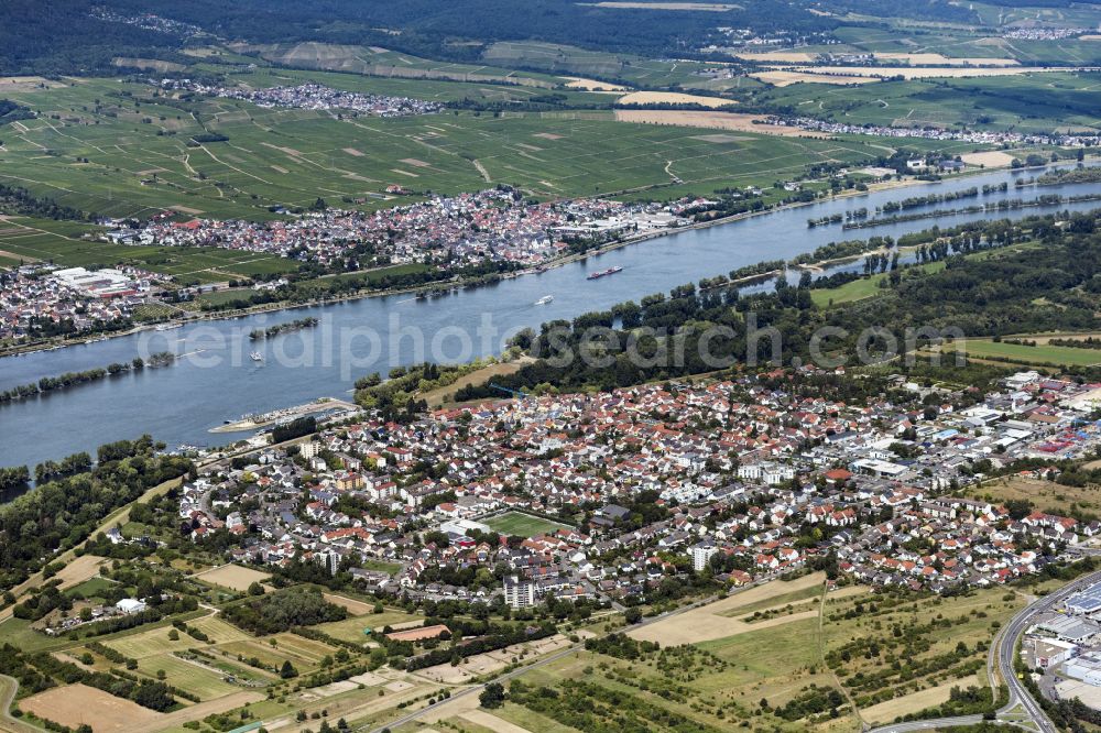 Aerial image Frei-Weinheim - City view on the river bank of the Rhine river in Frei-Weinheim in the state Rhineland-Palatinate, Germany