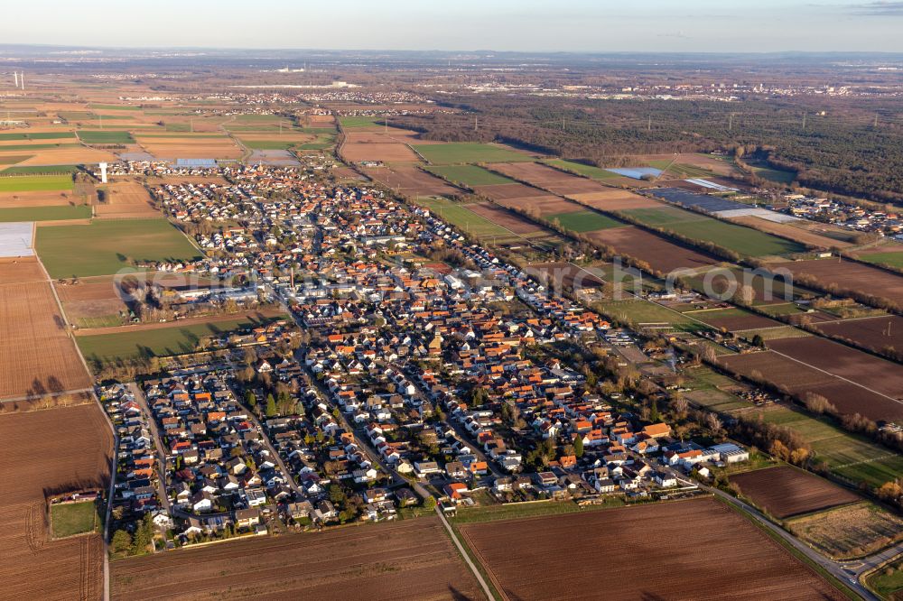 Aerial image Lustadt - Urban area with outskirts and inner city area on the edge of agricultural fields and arable land in Lustadt in the state Rhineland-Palatinate, Germany