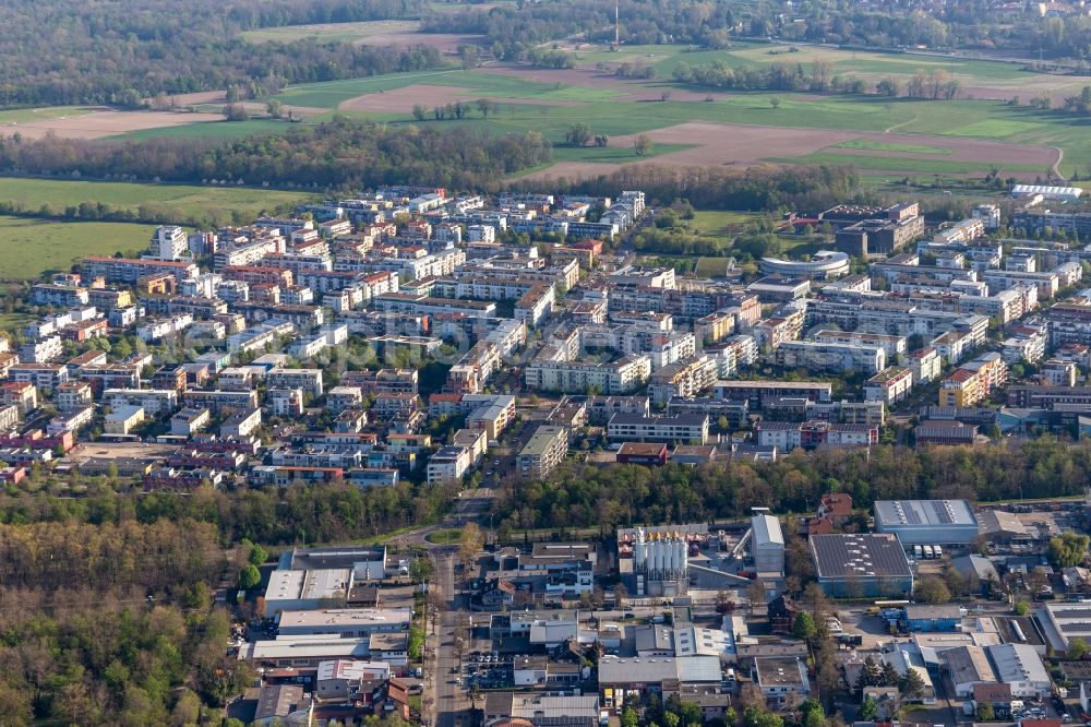 Freiburg im Breisgau from above - Outskirts residential in the district Rieselfeld in Freiburg im Breisgau in the state Baden-Wuerttemberg, Germany