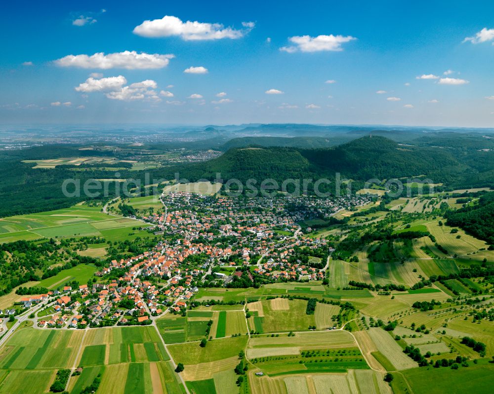 Öschingen from the bird's eye view: City view from the outskirts with adjacent agricultural fields in Oeschingen in the state Baden-Wuerttemberg, Germany