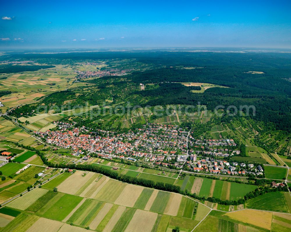 Unterjesingen from above - City view from the outskirts with adjacent agricultural fields in Unterjesingen in the state Baden-Wuerttemberg, Germany