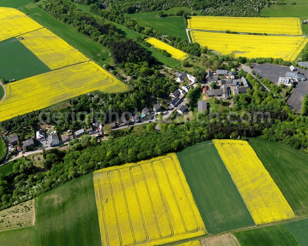 Polch from above - View of the Nettesuersch part of Polch in the state of Rhineland-Palatinate. The agricultural town is located in the county district of Mayen-Koblenz and surrounded by meadows and rapeseed fields. Nettesuersch is located in the North of the federal motorway A48 and of the town centre