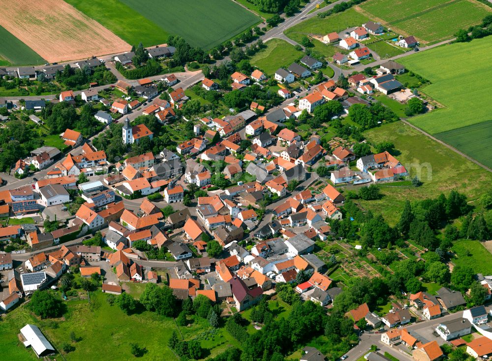 Dreisen from the bird's eye view: The city center in the downtown area in Dreisen in the state Rhineland-Palatinate, Germany
