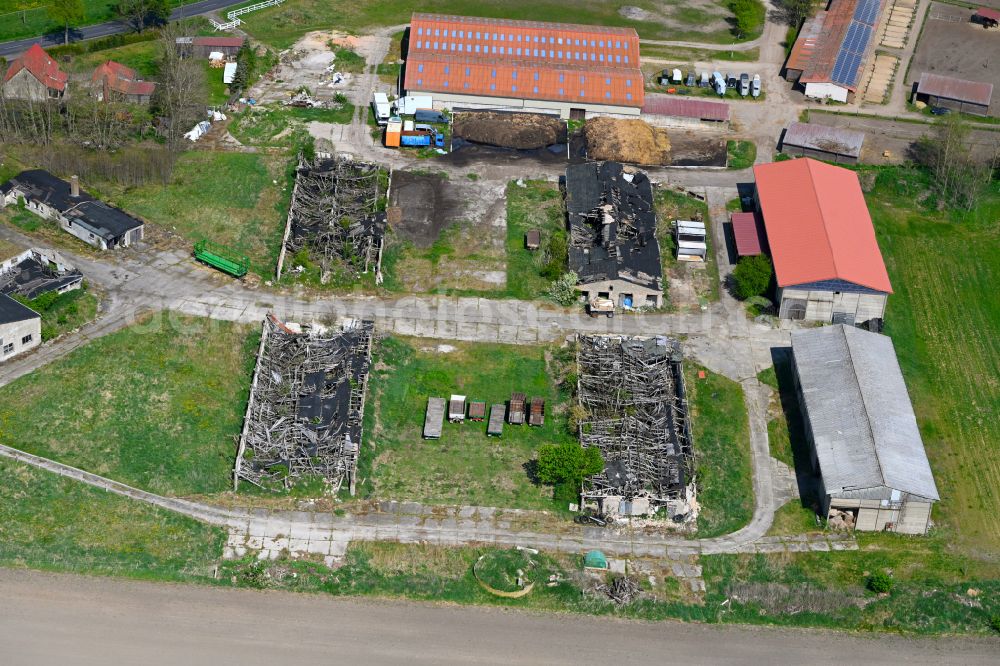 Aerial photograph Hohenbruch - Ruins of abandoned and derelict animal breeding stables and agricultural outbuildings on street Hohenbrucher Dorfstrasse in Hohenbruch in the state Brandenburg, Germany