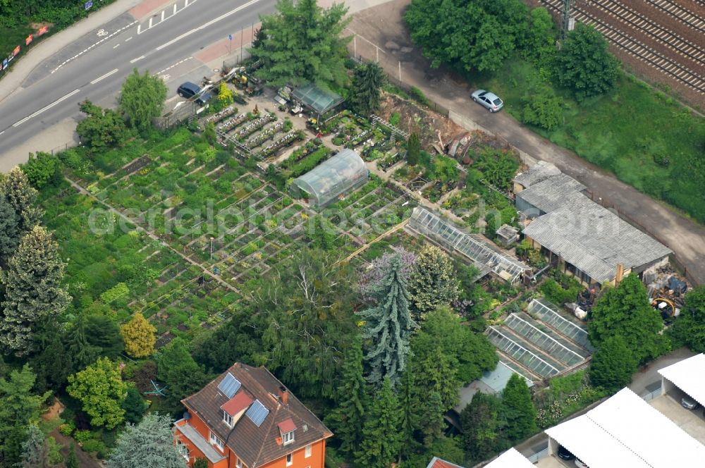 Aerial image Dresden - Perennial nursery Jentsch at the street Raykistrasse in Dresden-Strehlen in Saxony