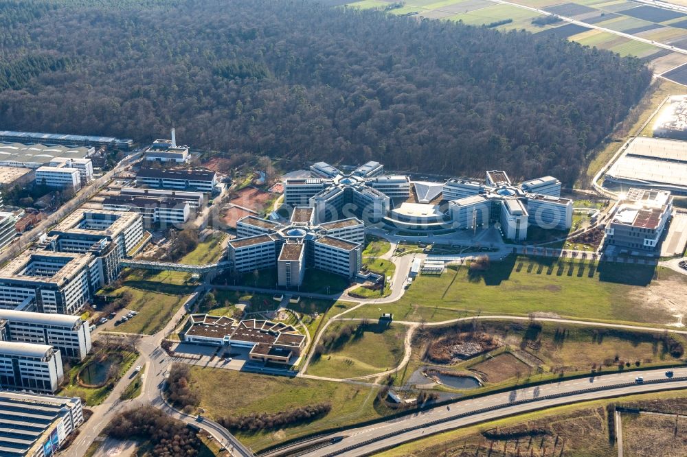 Walldorf from the bird's eye view: Star-shaped office buildings of the SAP Deutschland SE & Co. KG at the forest edged in Walldorf in the state Baden-Wuerttemberg
