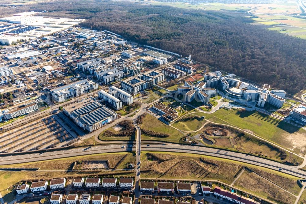 Aerial image Walldorf - Star-shaped office buildings of the SAP Deutschland SE & Co. KG at the forest edged in Walldorf in the state Baden-Wuerttemberg