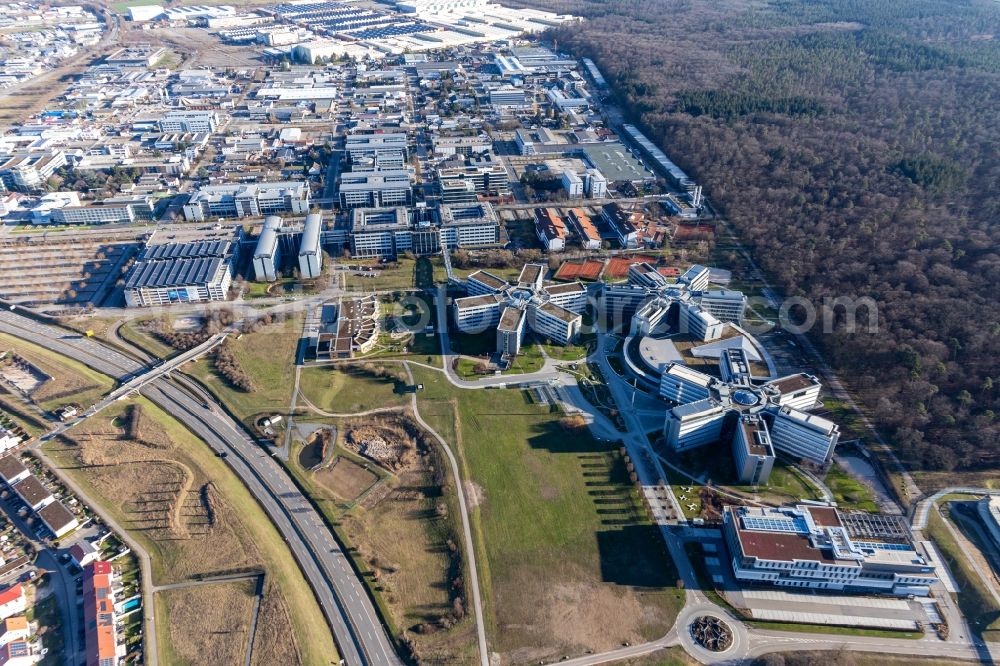 Aerial image Walldorf - Star-shaped office buildings of the SAP Deutschland SE & Co. KG at the forest edged in Walldorf in the state Baden-Wuerttemberg